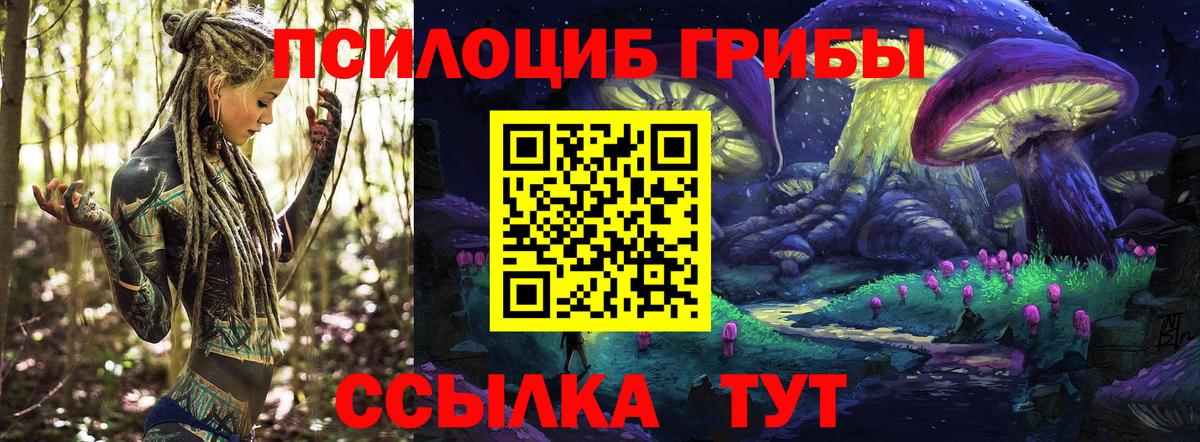 Псилоцибиновые грибы MAGIC MUSHROOMS Великие Луки